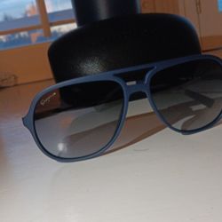 Carrera And Ferragamo Sundglases 