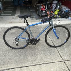 Nishiki Size 19 Bike