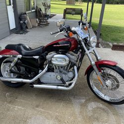 2006     883 Sportster Custom 