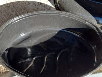 Pot