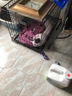 dog cage