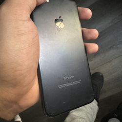 iPhone 7 