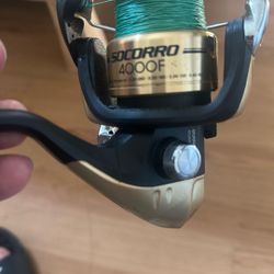 Rod And Reel 