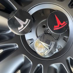 Tesla Hubcap 