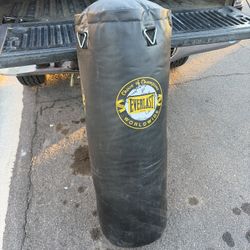 Everlast Worldwide Punching Bag
