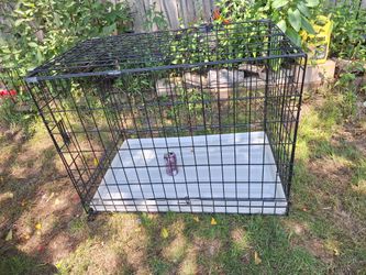 Xl Dog Kennel