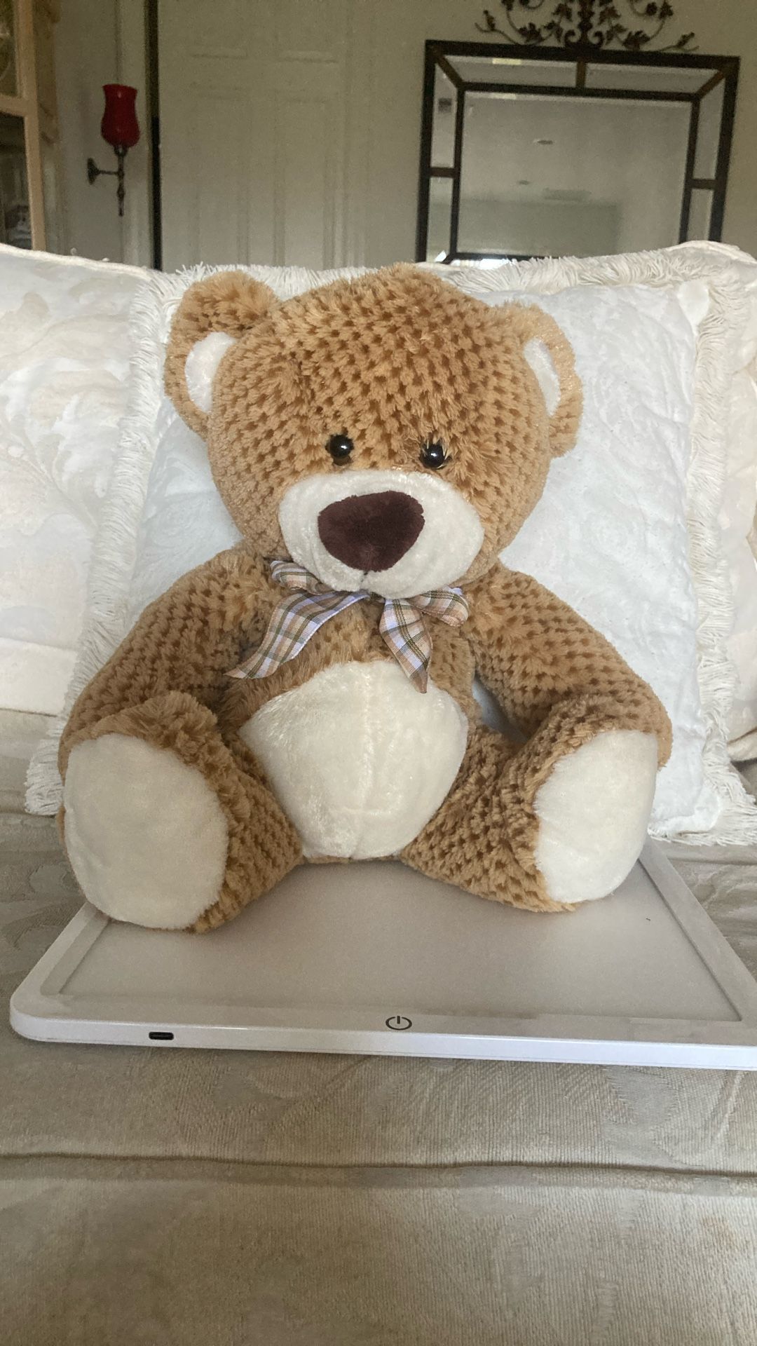 New Stuffed Teddy Bear