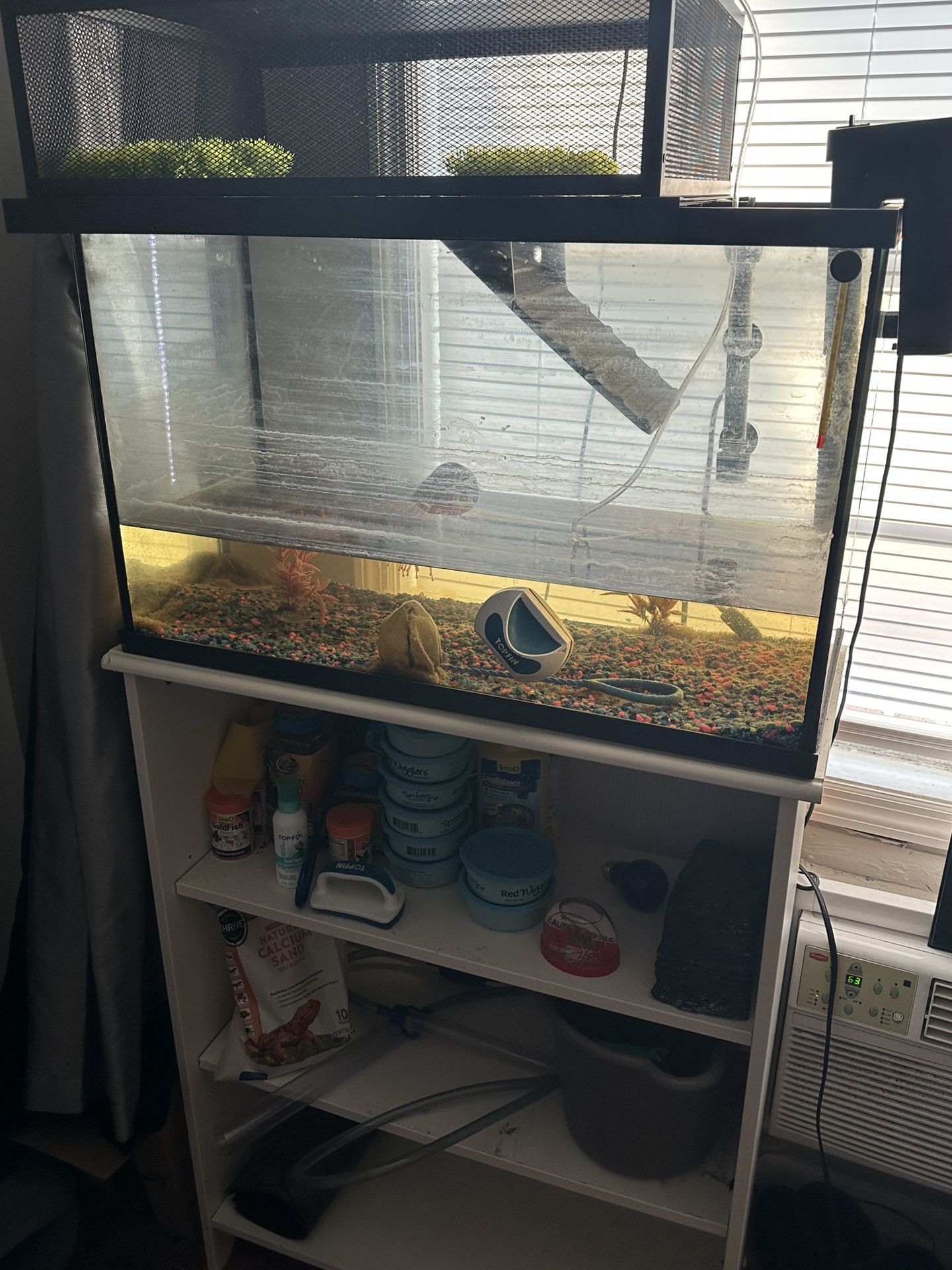 Complete Aquarium Set Up