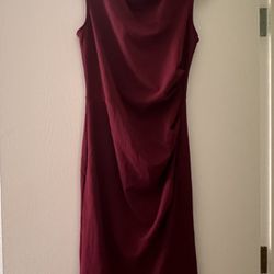 Women Burgundy/Maroon Dress