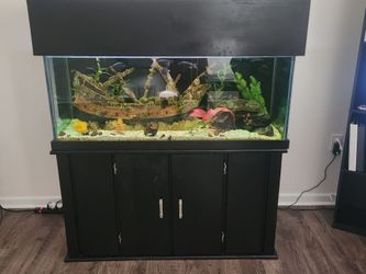 Full 75 Gallon aquarium setup with canopy and stand