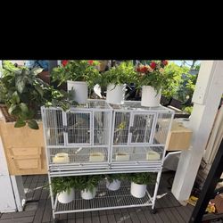 Bird cage with divider