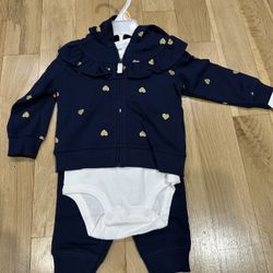 Baby Girl Outfit Size 12 Months Carters