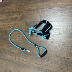 Top Paw Leash And Harness 