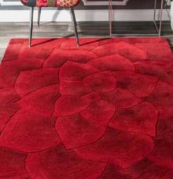 Pier 1 Red Rose Area Rug 8×10/8×11— $225 OBO