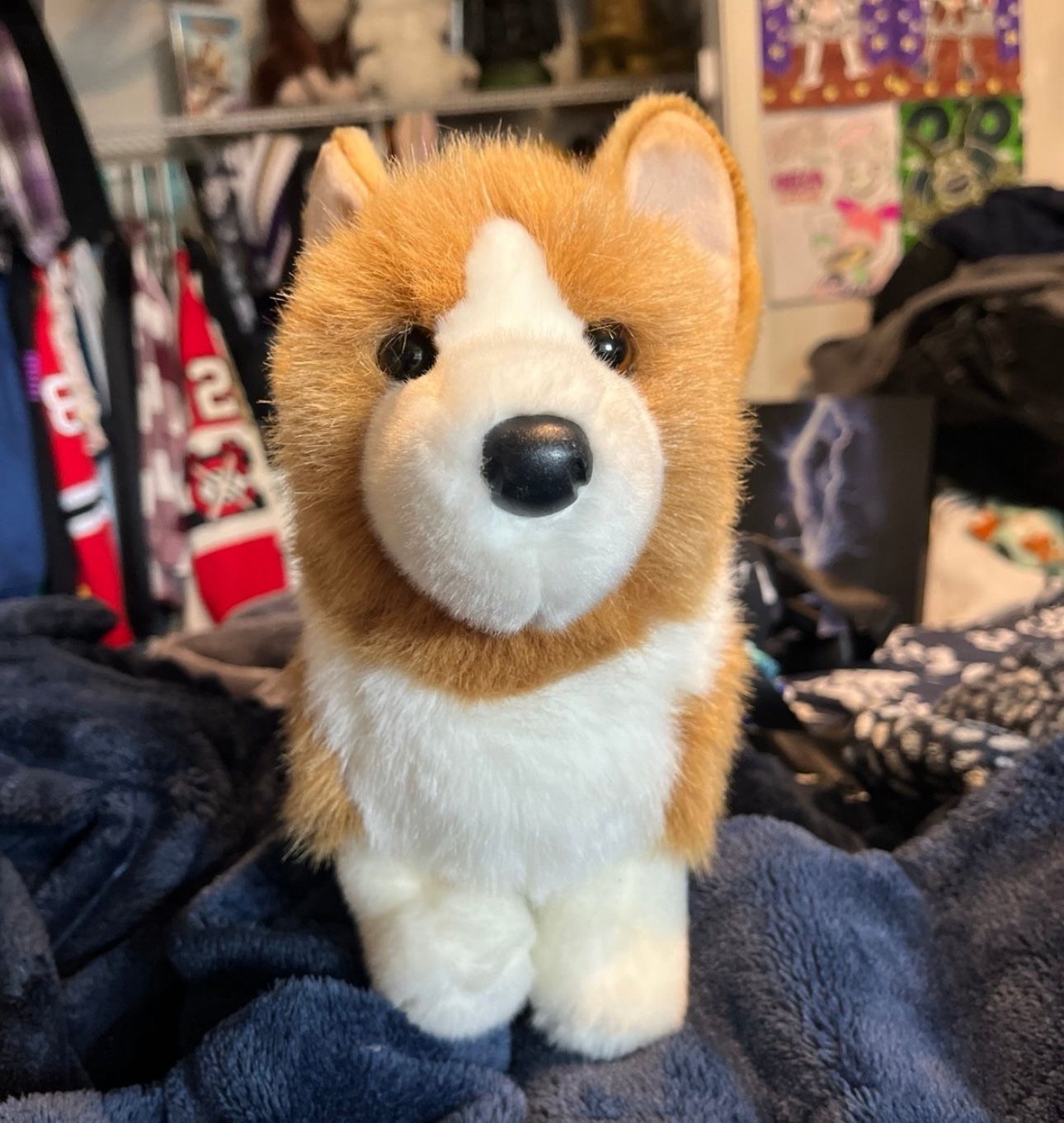 Douglas Corgi Plush