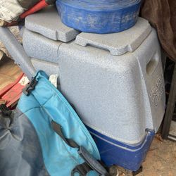 Carpet Cleaner