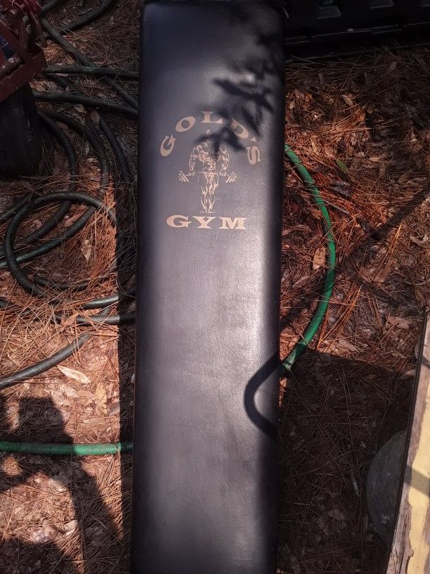 Gold's Gym Workout Bench