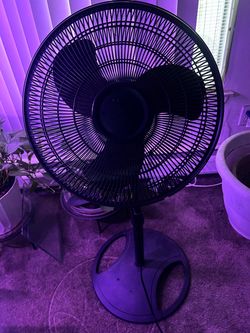 Fan on stand