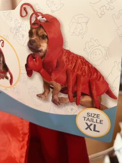 Dog Costume X3