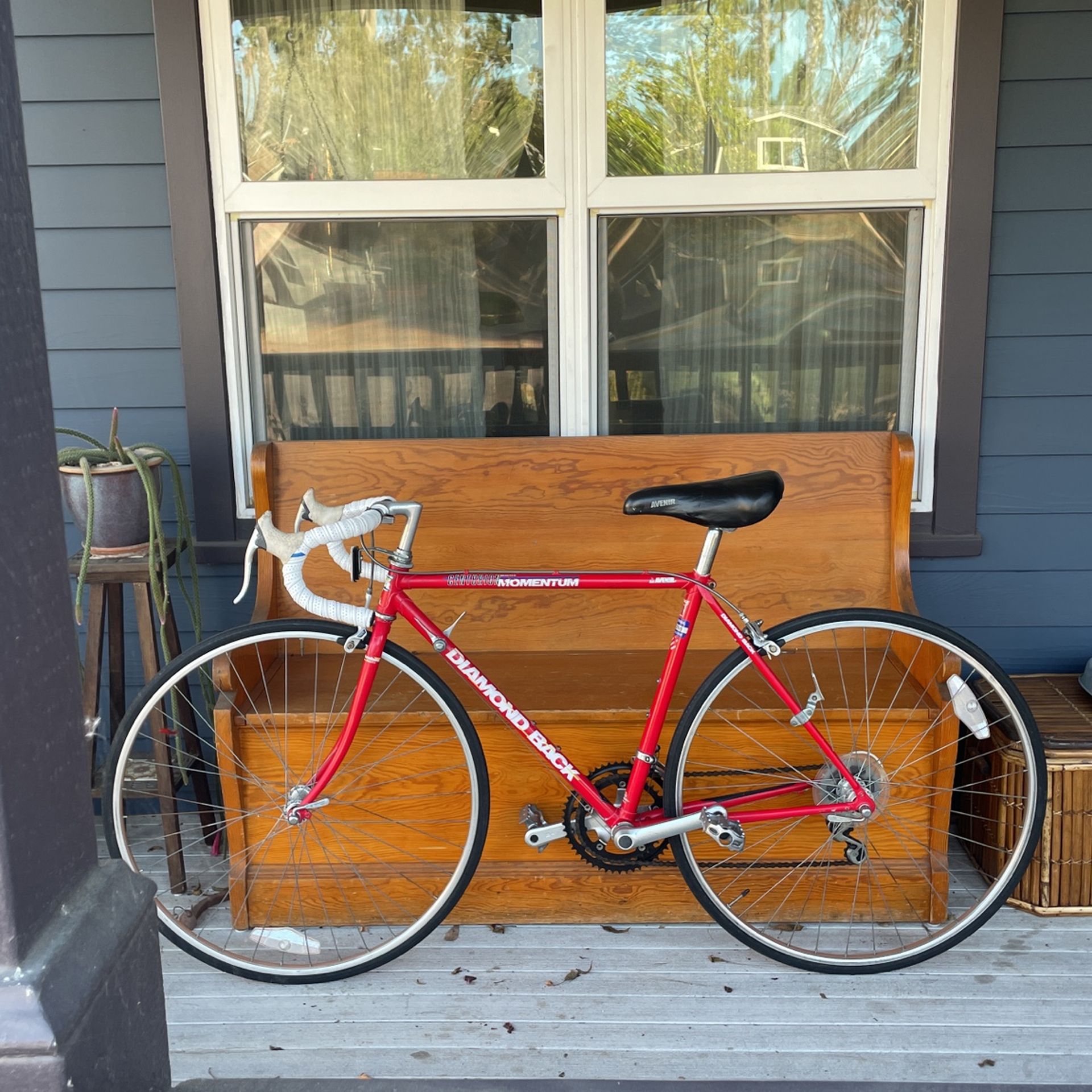 Rare Vintage Diamond Back Avenir Ladies Road Bike