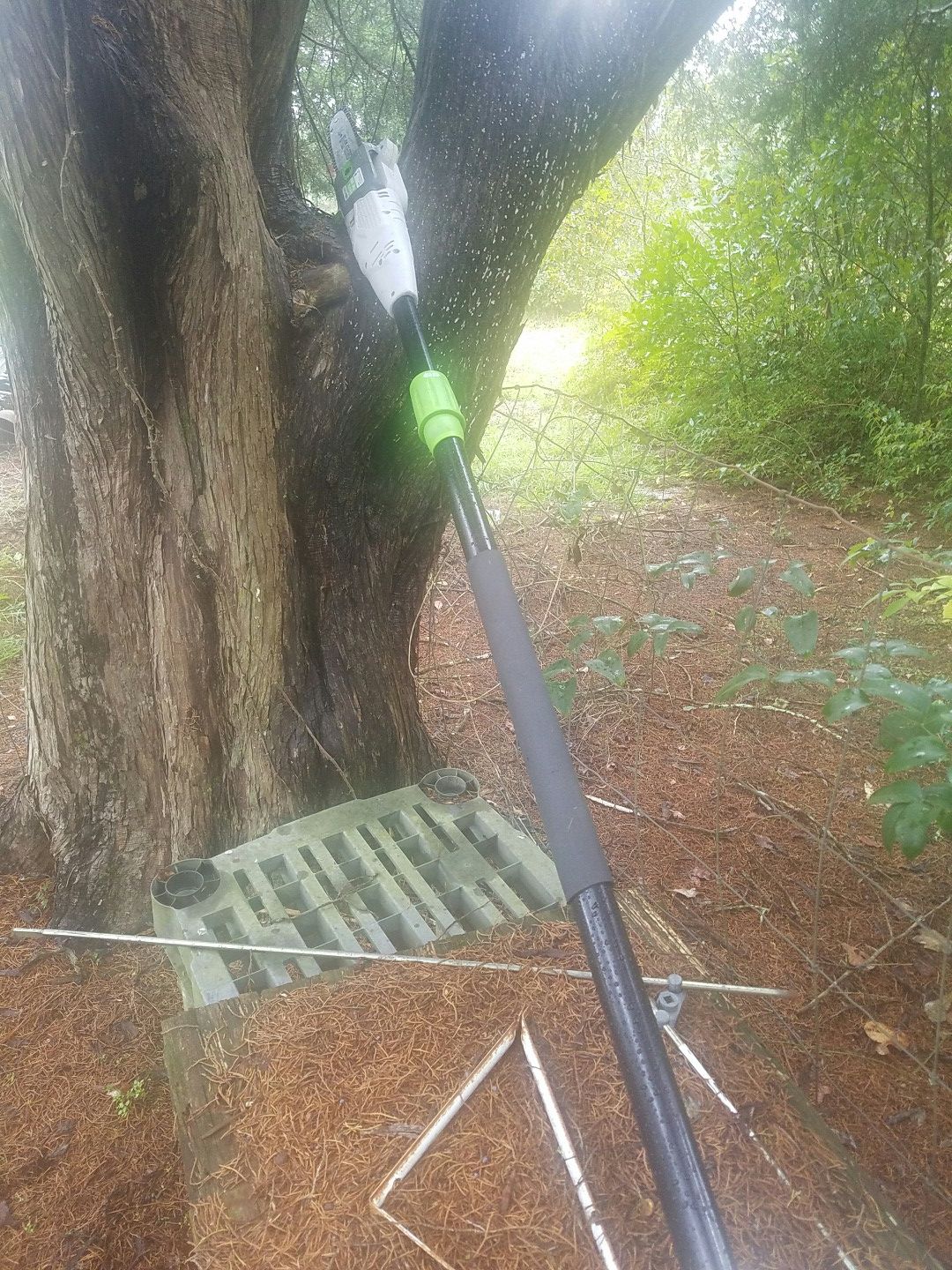 Electric Pole Saw