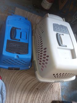 Two Plastic Pet Carriers