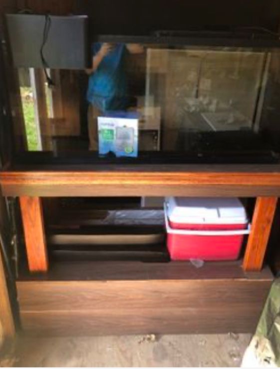 Fish Tank 55 Gallon