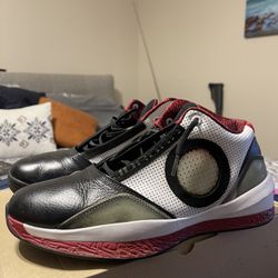Air Jordan 2010