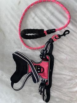 Dog Leash & Vest 