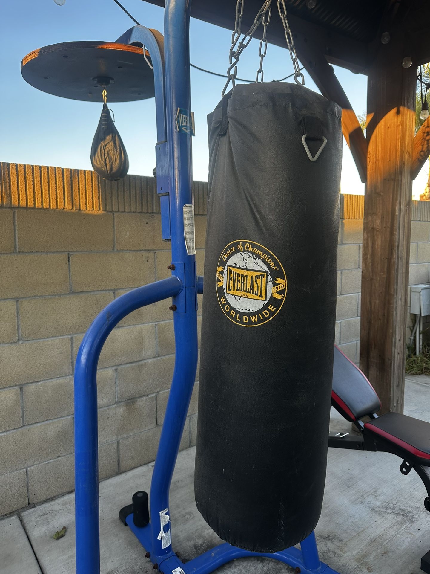 Everlast Punching Bag And Speed Bag Set