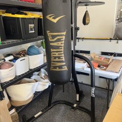 Punching Bag 