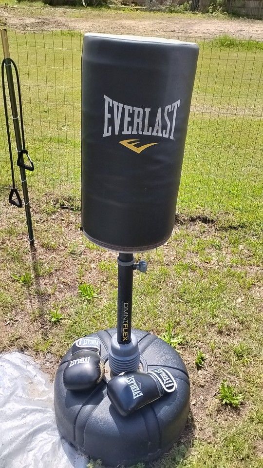 Everlast Punching Bag And Gloves