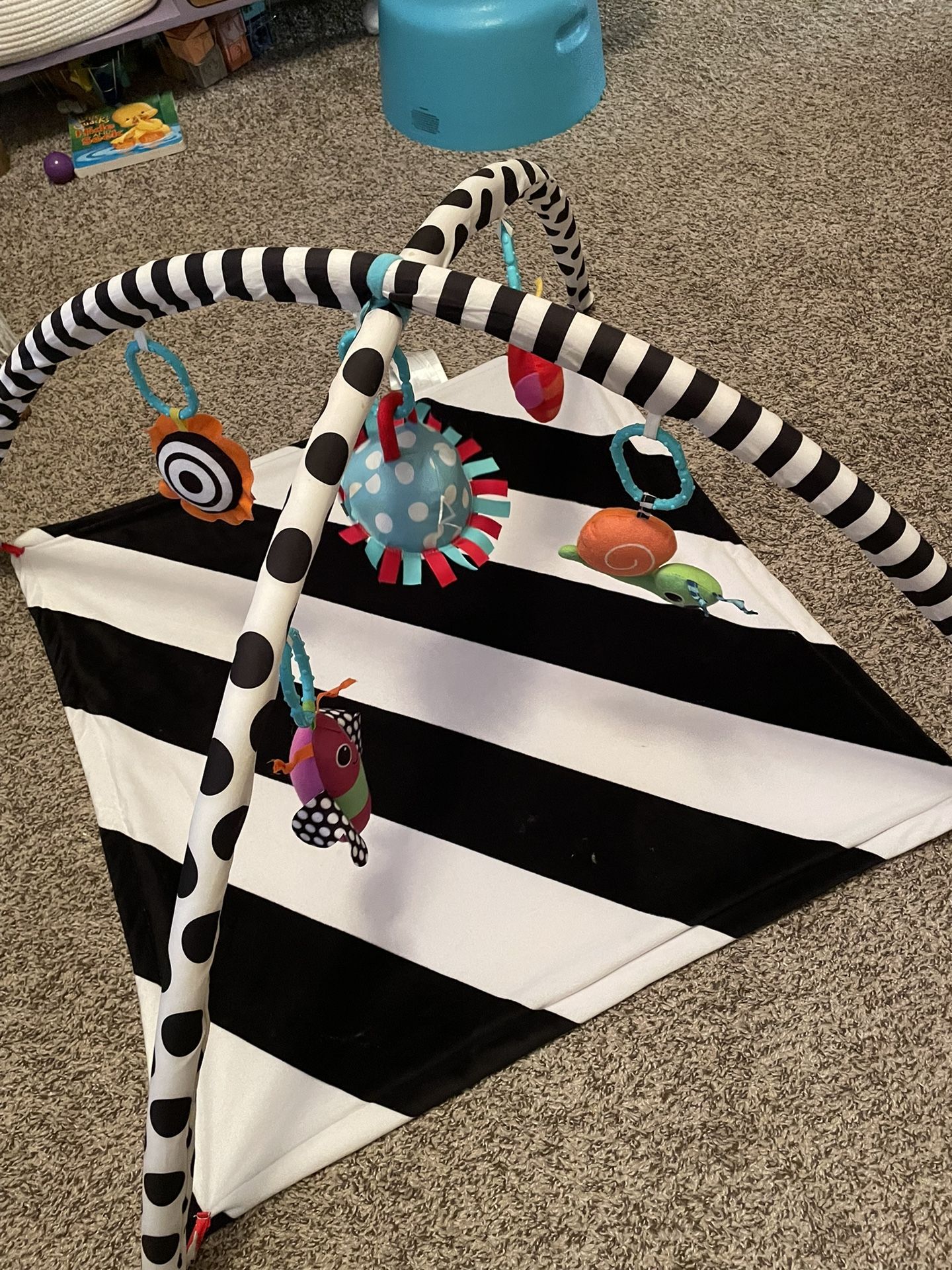 Sassy Baby Tummy Time Play Mat