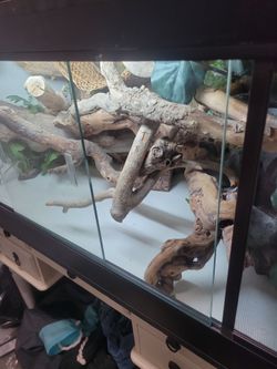 Custom reptile tank