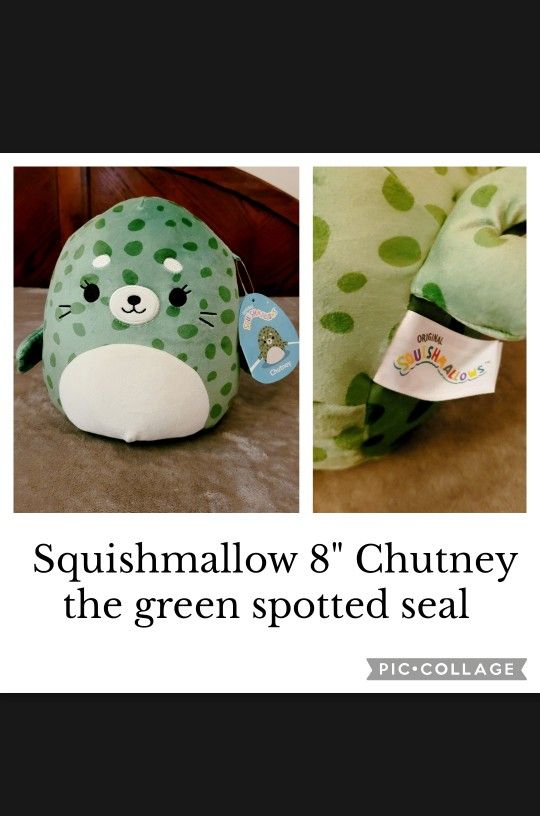 New Squishmallow,  8" Chutney/Green Spotted Seal 