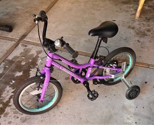 Guardian bike 14”
