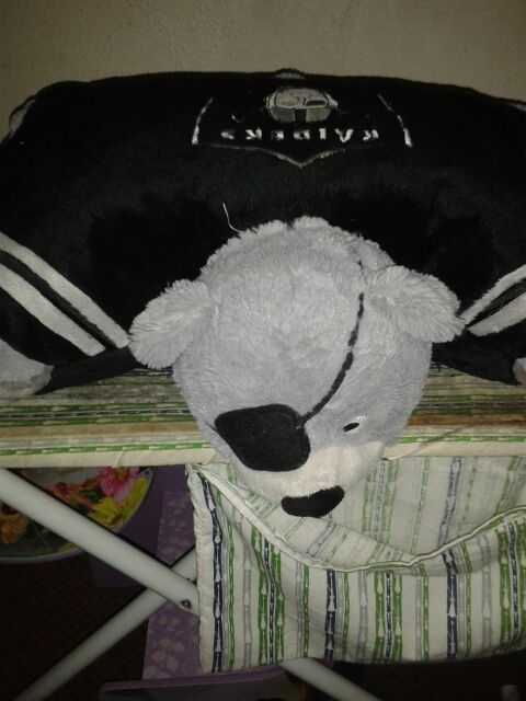 Raider pillow Pet