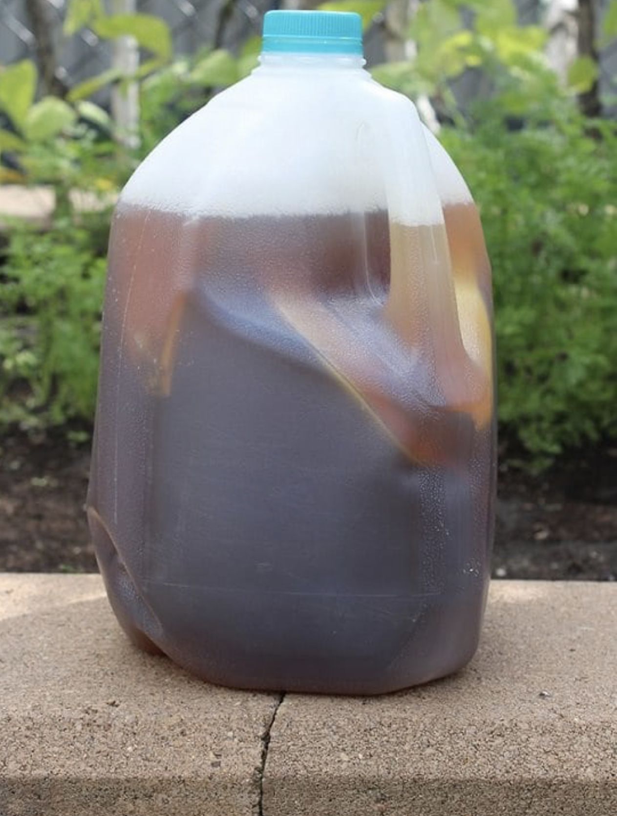 Homemade Organic Fertilizer