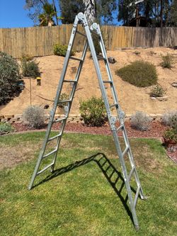 Fold-Away Ladder