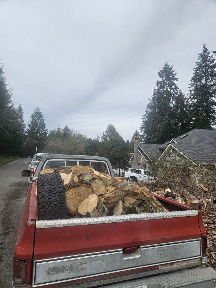 Nice load of fairly dry Maple