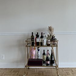 UO Metal Bar Cart MCM Style 