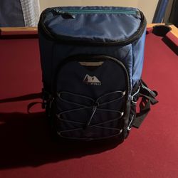 Arctic Zone 24 Can Backpack Cooler 
