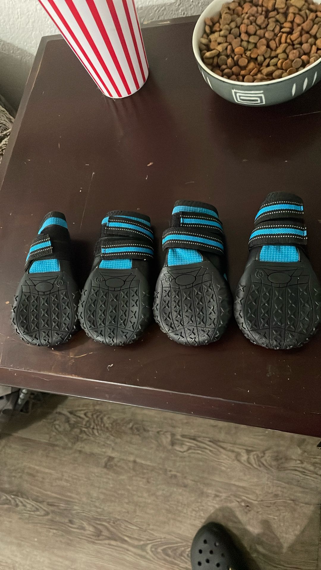 Shoes For Dogs