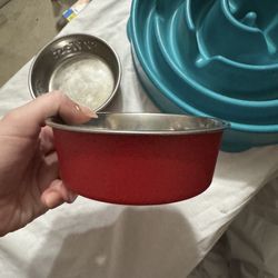 Red Small Dog Bowl