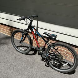 Schwinn Boy Mountain Bike