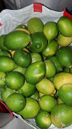 limones ricos y frescos