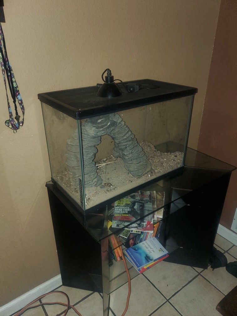 Fish Tank 
