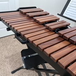 Xylophone With Stand, Scratch Pad And Mallets - Adam’s
