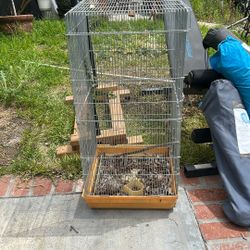 Bird Cage 