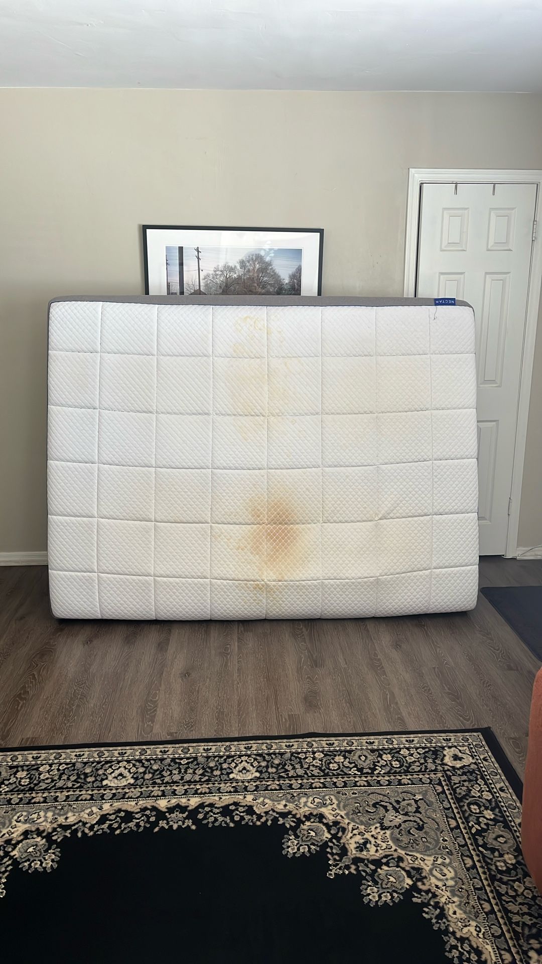 Free Queen Mattress (Nectar)
